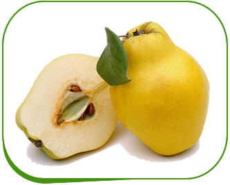 cold storage depot quince