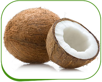 Manav Group Cold Storage Depot coconut