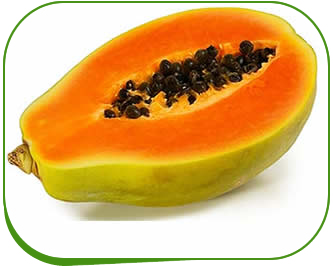 Cold Storage Depot papaya