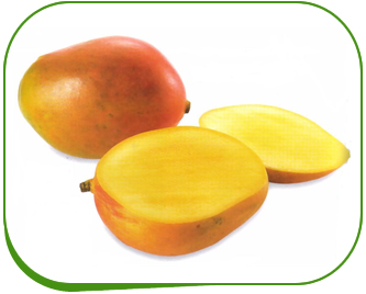 Soğuk hava deposu mango